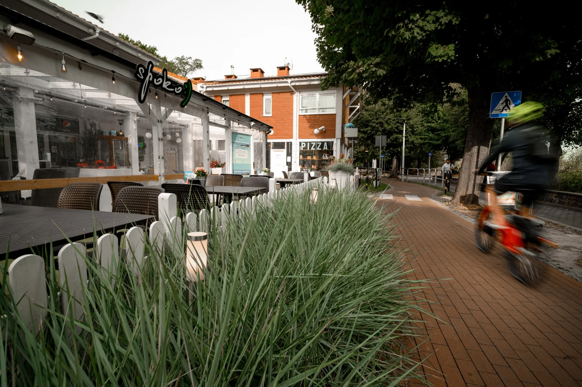 Responsive page image